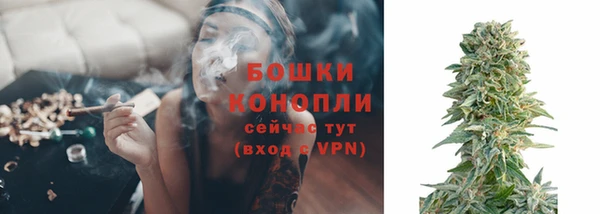 мдпв Бородино