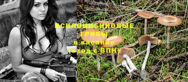 дживик Беломорск
