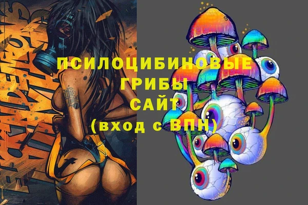 круглые Белокуриха